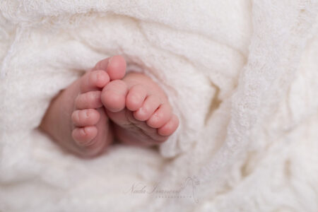 Photo De Bebe Du Bousquet D Orb En Studio Par Nada Ivanova