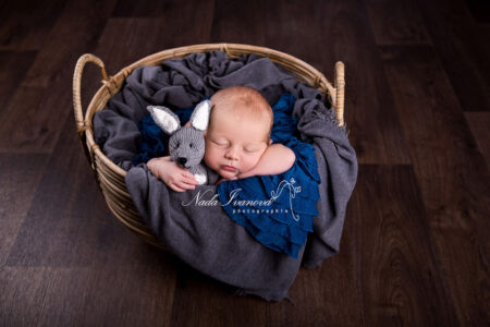 Photographie Bebe Dans Un Panier Avec Lapin