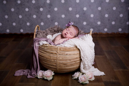 Photographe Bebe Beziers Dans Un Pannier