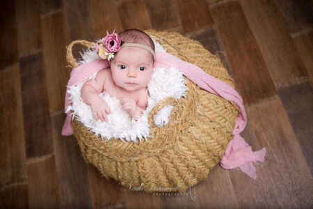 photographe bebe beziers dans un gros paniers vegetal