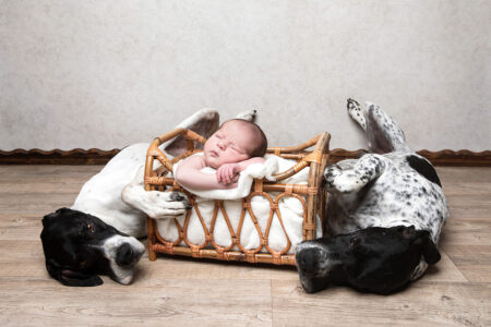 Nouveau-Né Qui Dort Avec Des Chiens
