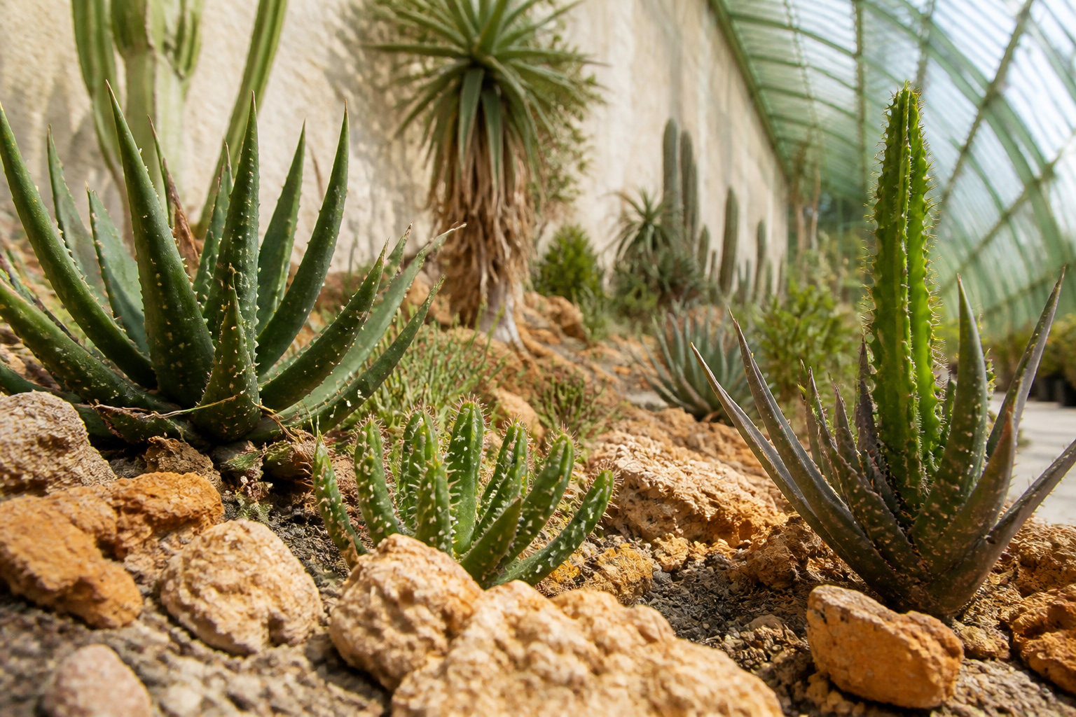 Le Jardin des Plantes et son atmosphère sereine